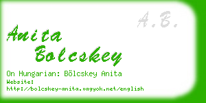 anita bolcskey business card